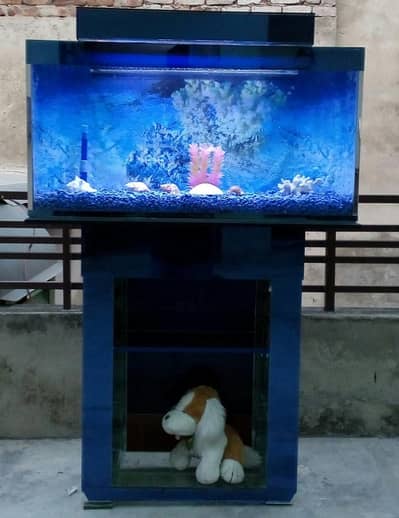 Blue Berry Aquarium
