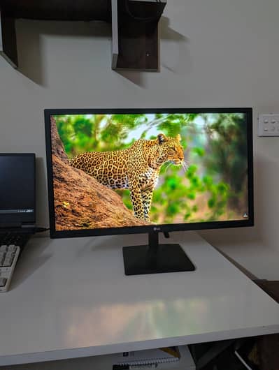 Lg 1080p ips 75Hz Monitor