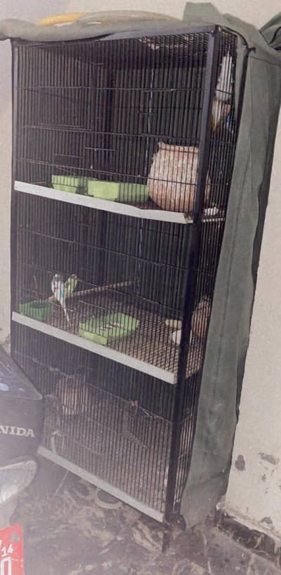 parrot cage