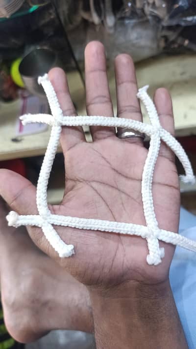 cricket Net