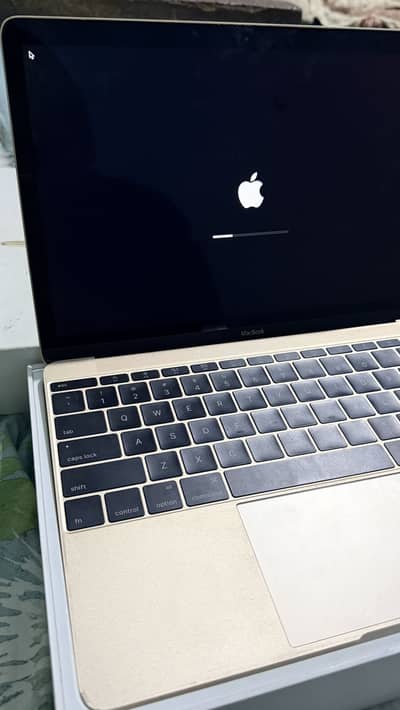 Mackbook 2015 Limited edition