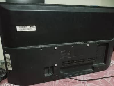 cheetah 32 hd black