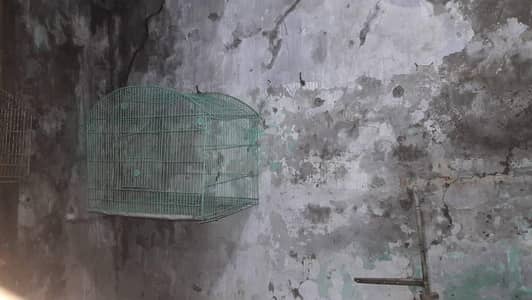 Urgent Sale Cheap price