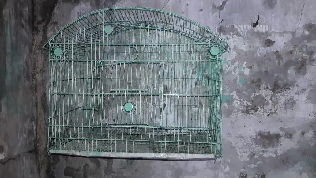Urgent Sale Cheap price — photo 2