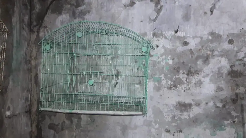 Urgent Sale Cheap price — photo 3