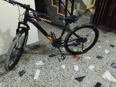 mountain bike