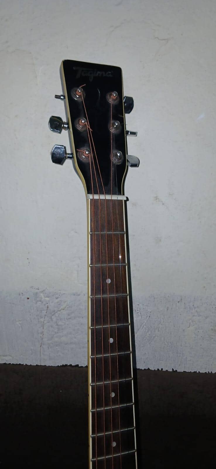 guiter 5