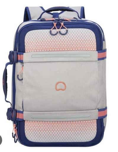 Delsey 2 in 1 bag