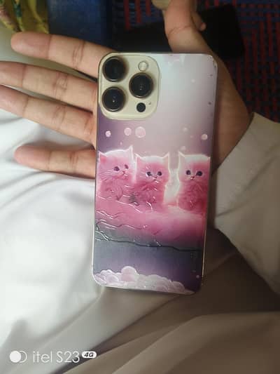 Apple iPhone 13 Pro Max