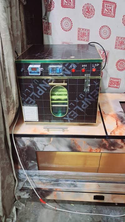 waterproof 56 eggs incubator plus 2 by 4 feet brooder