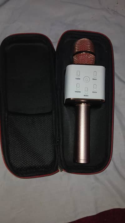 Royche Wireless Bluetooth Karaoke Microphone with Case – Rose Gold