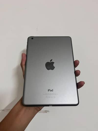 ipad mini all ok 12gb