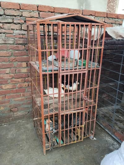 3 portion heavy iron cage for aseel ducks and other birds