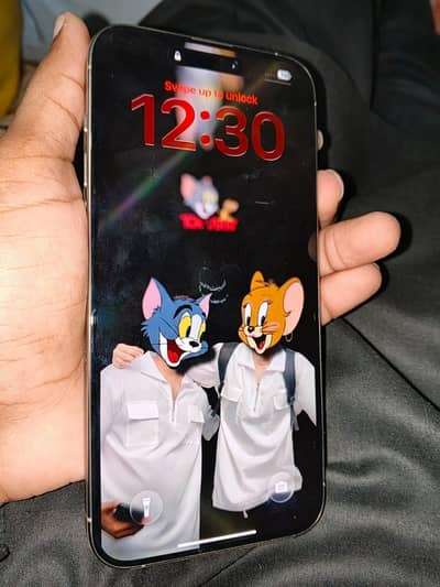Apple iPhone 15 Pro Max