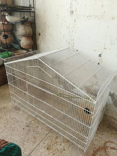 Pinjra, big cage for birds/ parrots