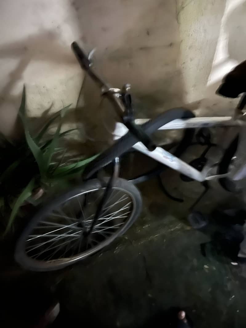 Cycle 6