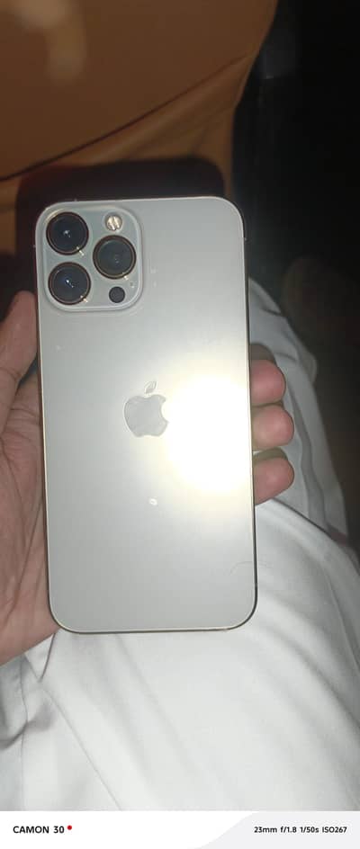 Apple iPhone 13 Pro Max