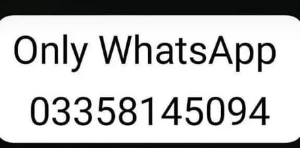 Persian cat 2month vaccinated