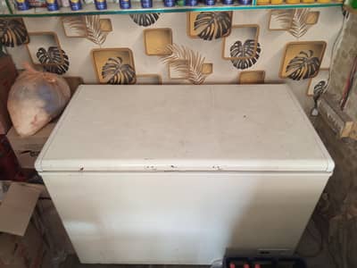 D freezer 03134644845