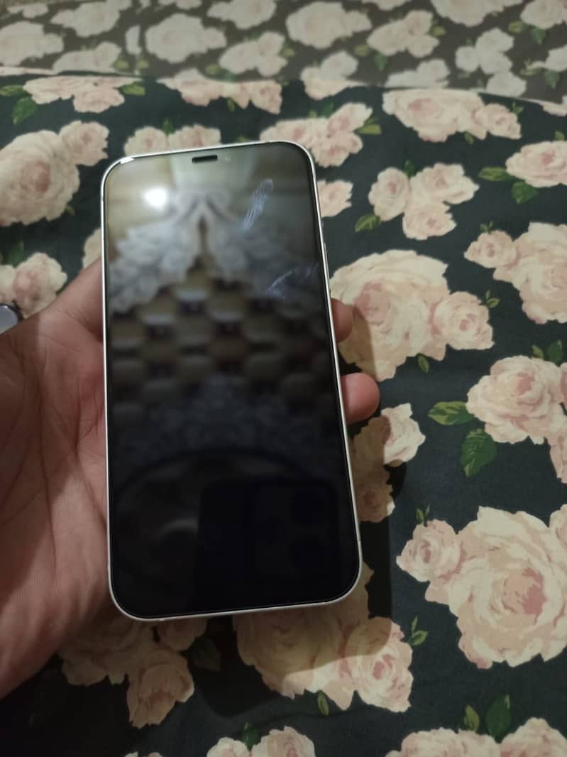 Apple iPhone 12 5