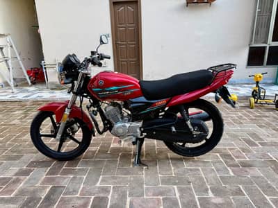 Yamaha ybz dx 22/23