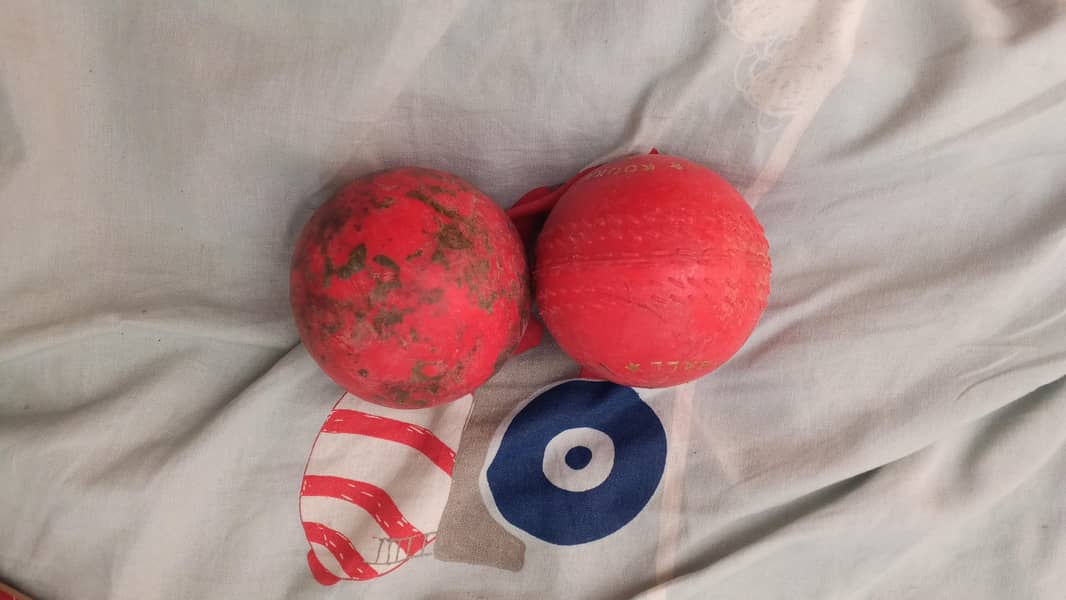 Cricket Kit 11