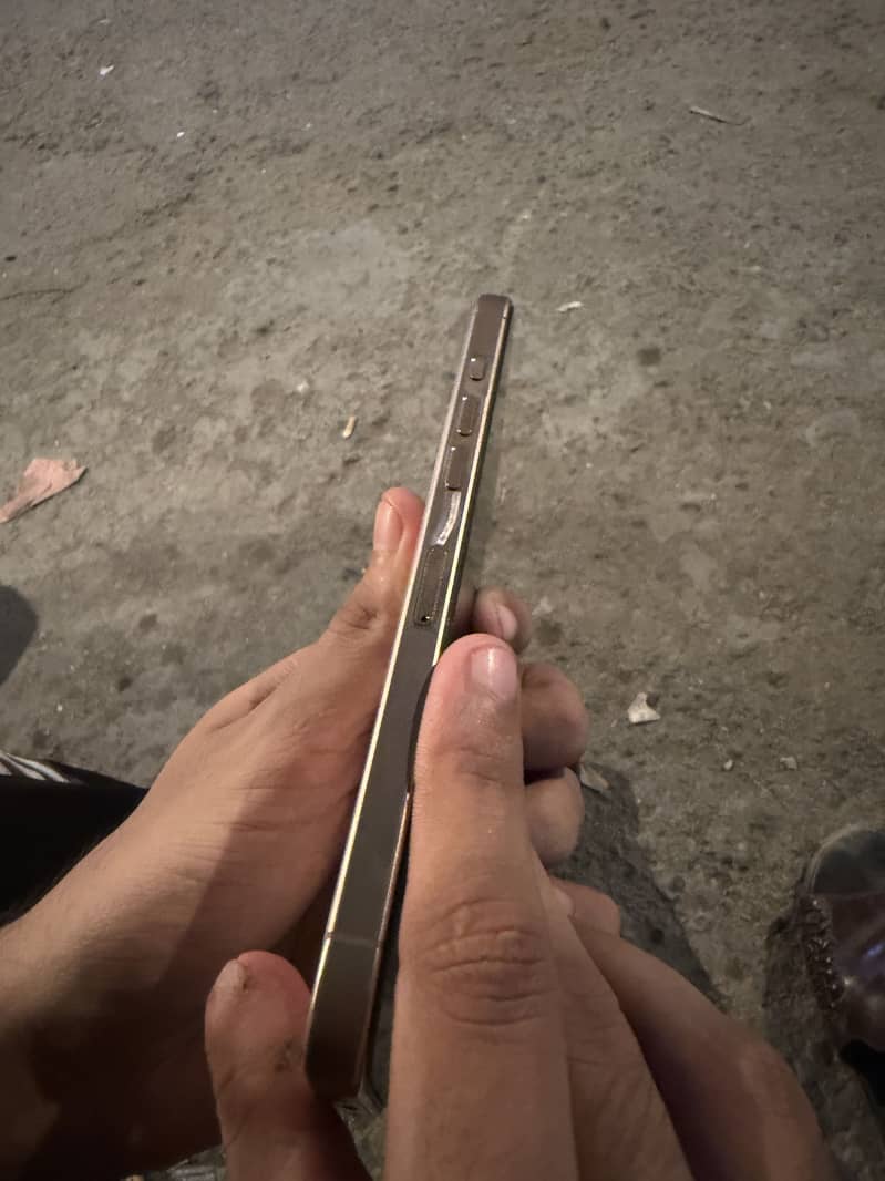 Apple iPhone 16 Pro Max 1