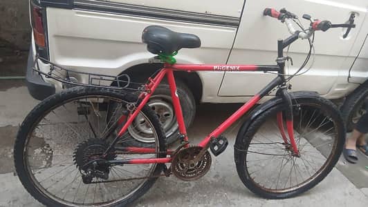 Cycle Phoenix