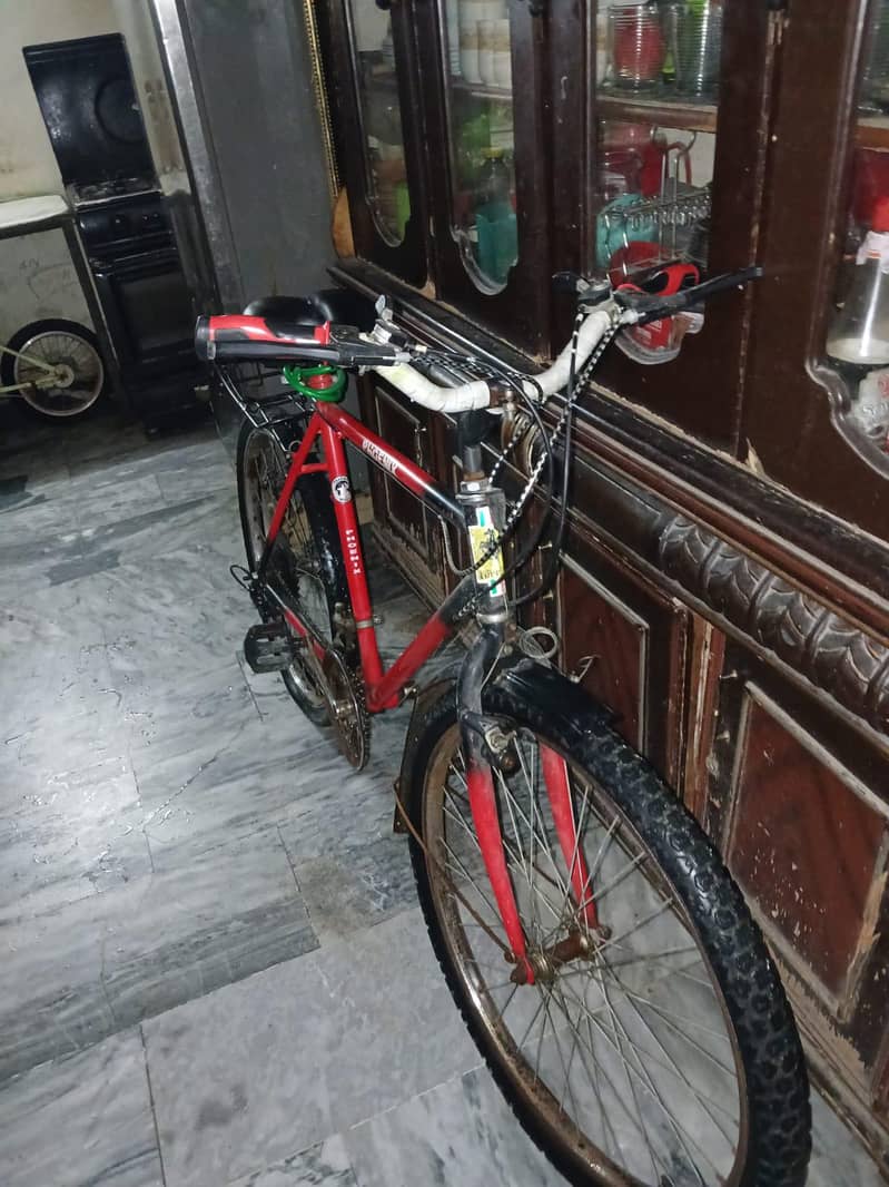 Cycle Phoenix 1