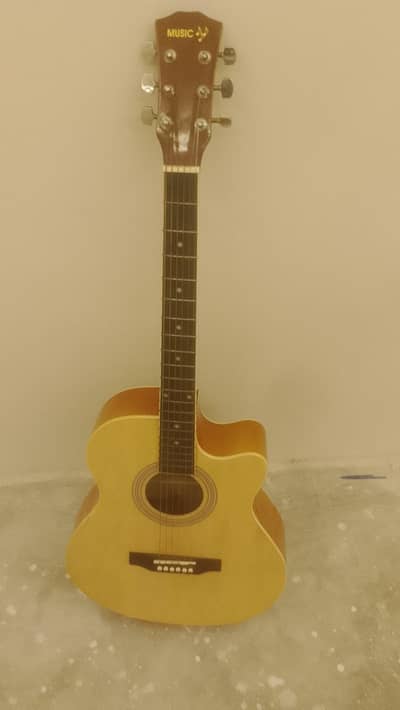 acoustic guitar medium size