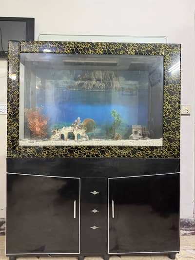 FISH AQUARIUM