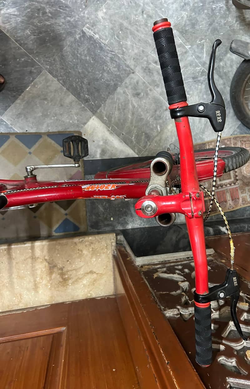 bicycle 2