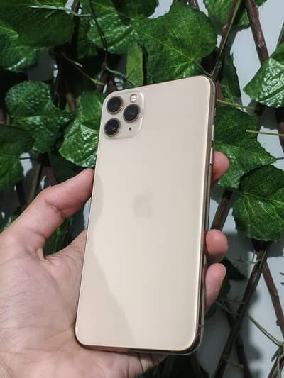 Apple iPhone 11 Pro Max