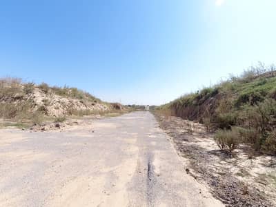 1250 Square Feet Residential Plot In I-15/3 Is Best Option
