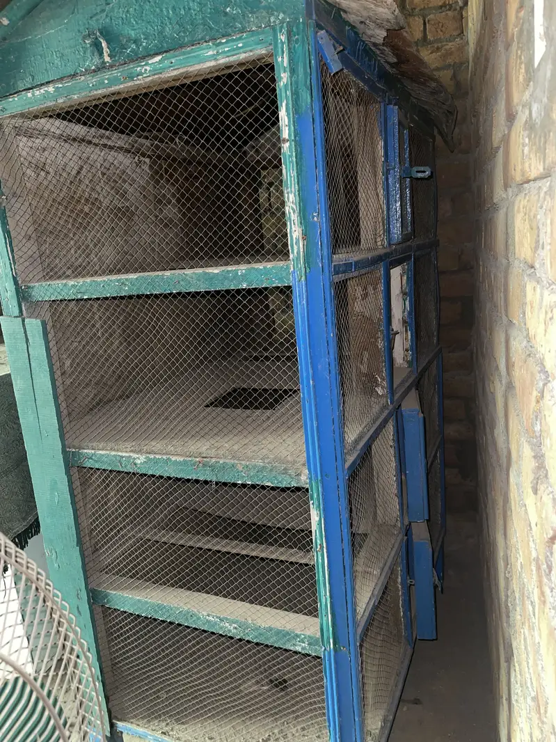 Hen cage — photo 2