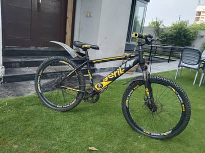 24 inch cycle