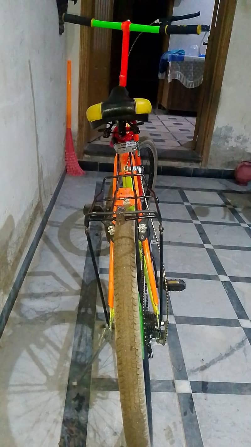 Phoenix bicycle 1