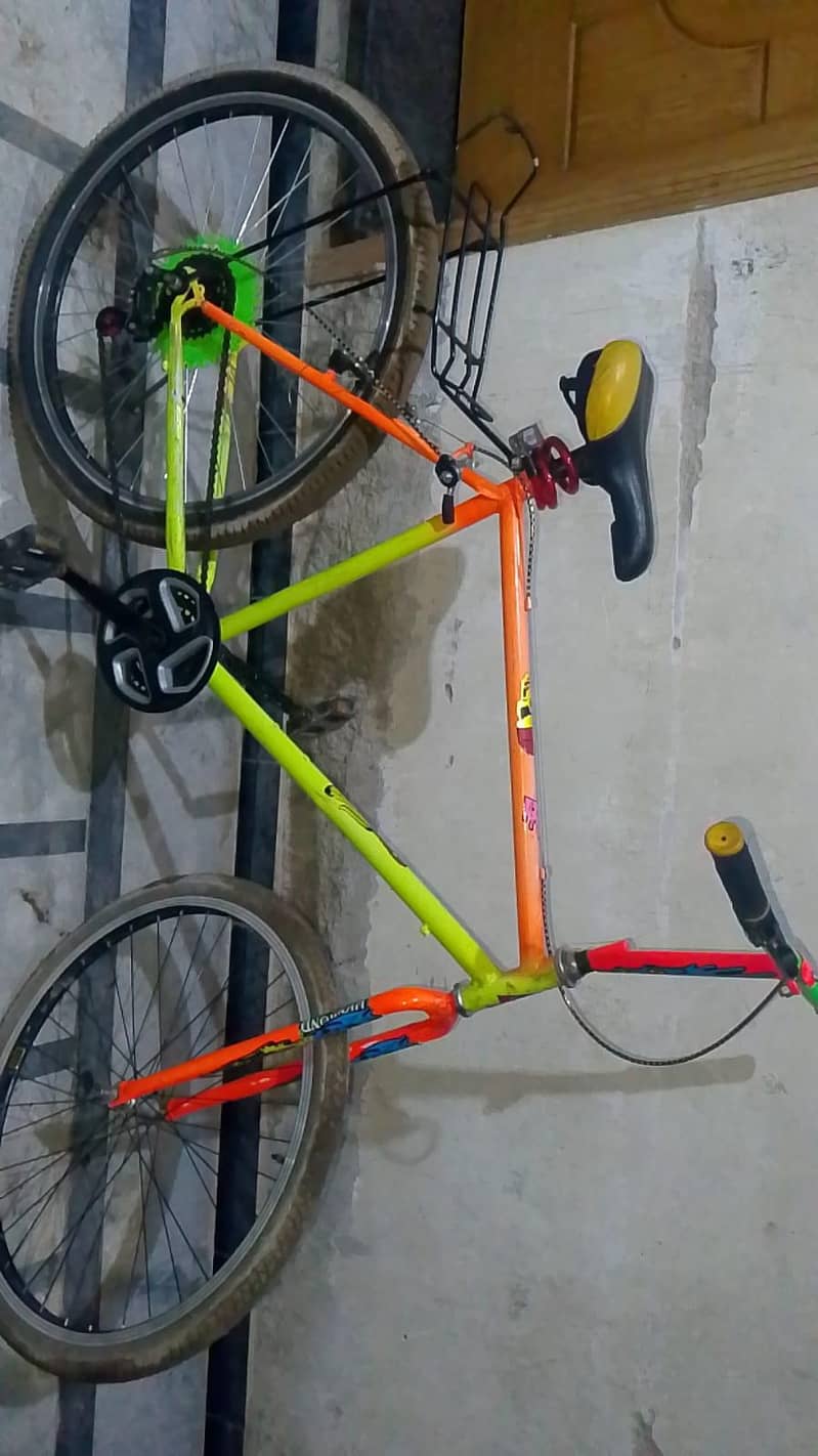 Phoenix bicycle 2