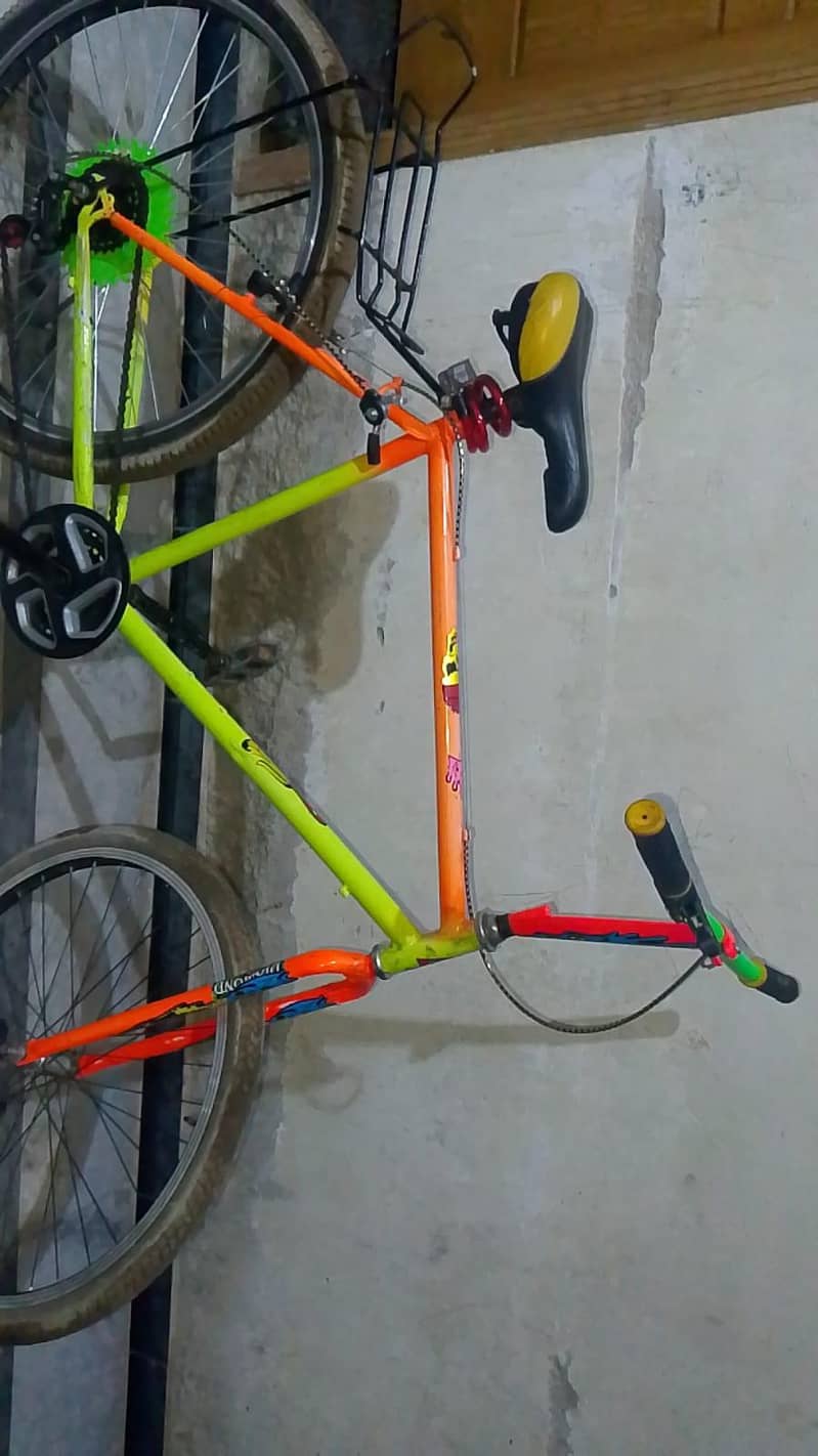 Phoenix bicycle 3
