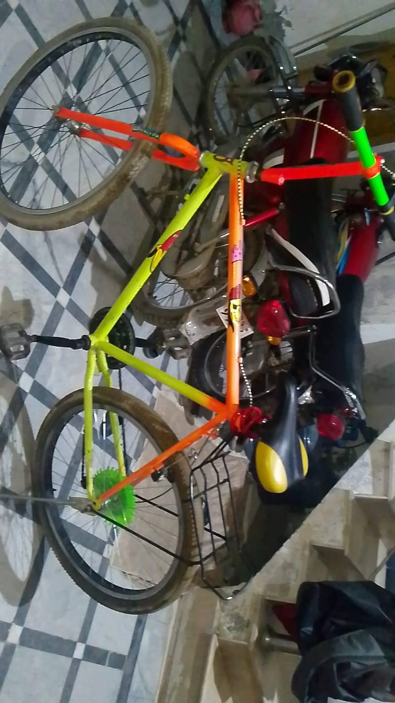 Phoenix bicycle 4