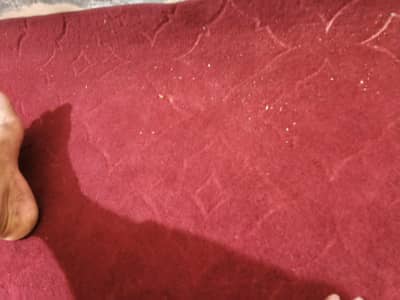 Carpet for sale 12*12