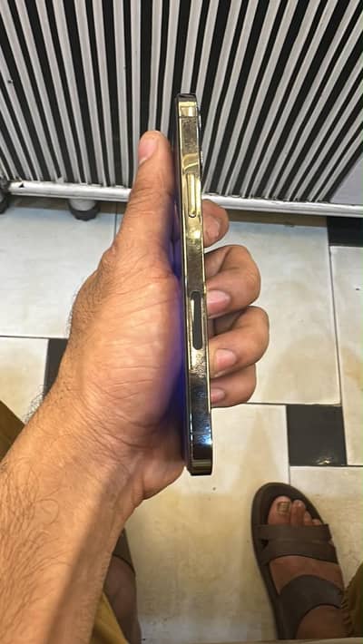 Apple iPhone 12 pro