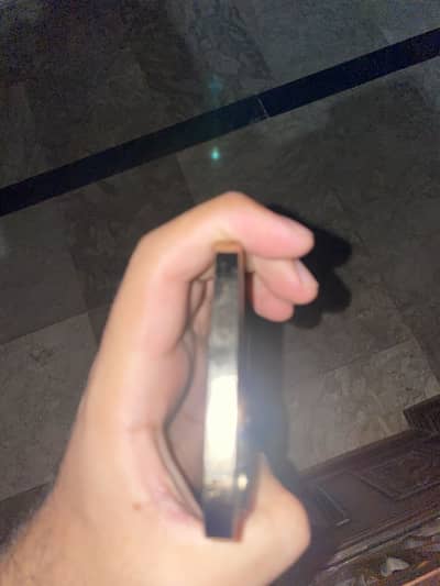 Apple iPhone 12 Pro Max