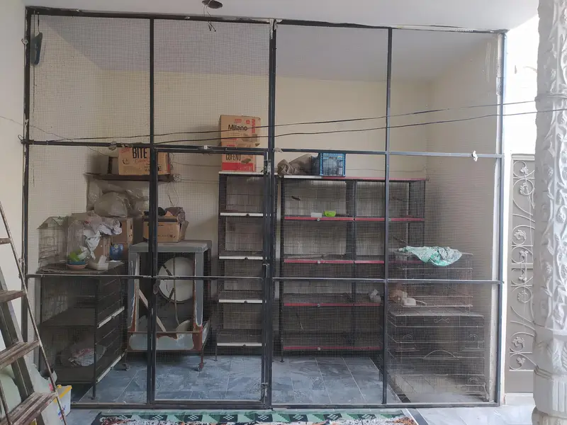 complete setup — photo 3