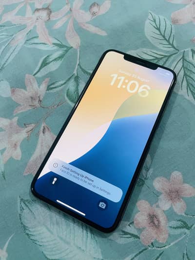 Apple iPhone XS Max 256