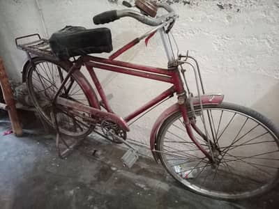 Bicycle 22 Size For Sale 03211-67-57-47