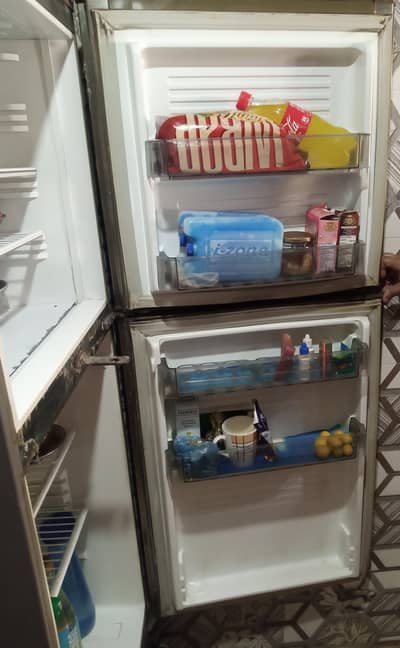 Pel Desire Refrigerator