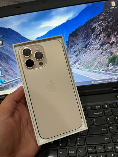 Apple iPhone 16 Pro Max