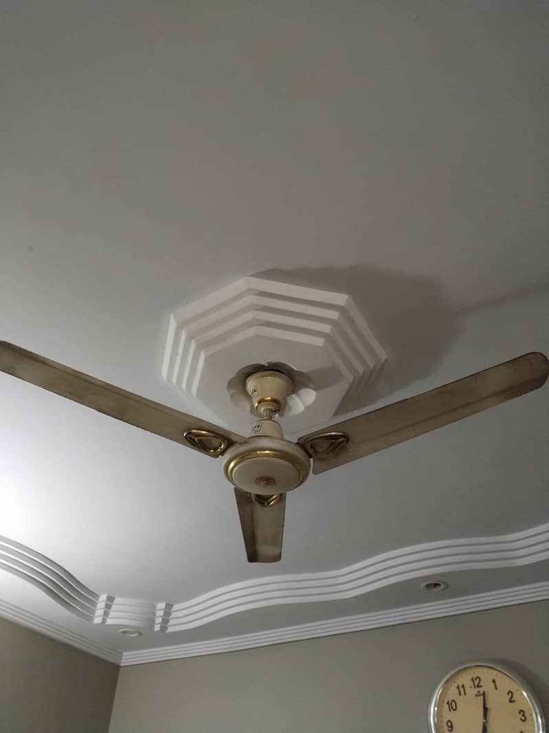 Ceiling fan 1