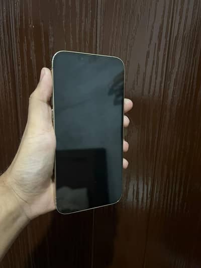 iPhone 13 Pro Max jv / 13 pro max jv / 13 jv